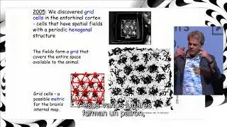 The GPS mechanism of the brain- Edvard Moser- CDI 2017