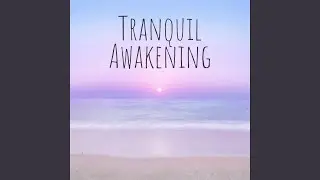Zenith of Peace