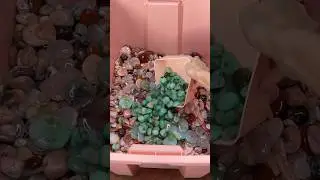 Making the Self-Love crystal mix PART 2 💚💖 #crystalshop #asmr #satisfying #restocking #crystals