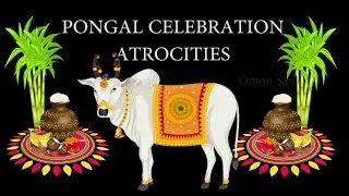 Pongal Celebration Atrocities | Onion Samosa