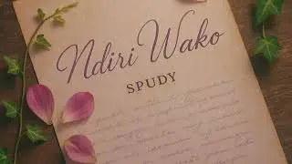 Spudy -- Ndiri Wako ( Official Audio )