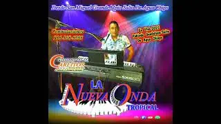 Popurrí Mambo Lupita // La Nueva Onda Tropical En Vivo 2025