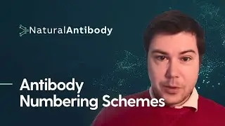 Antibody Numbering Schemes