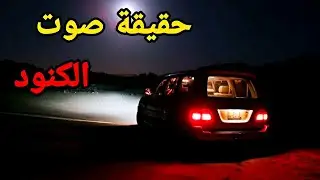 اذا سمعت هذا الصوت جهز سلا.حك 💀 !!