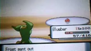 Pokemon D/P/Pt Wi-Fi Battle: versus theshadowprojekt