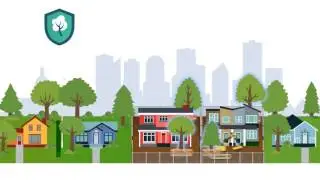 Landscaping Requirements