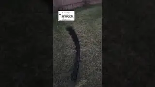 Lowe&rsquo;s rubber edging #landscaping