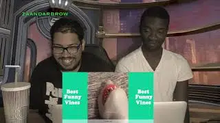 Try Not To Laugh - SHARK PUPPET COMPILATION REACTION!
