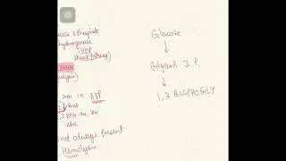 Hemolytic anemia enzyme deficiency causes 