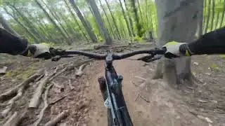 MTB | Wienerwald Trails | Sauberg Trail | Mai 2023
