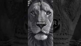Heroes are not Born, They are Built #motivation #shorts #heroic #lion