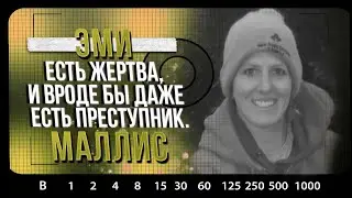 РАСКРЫТЫЕ ДЕЛА | Эми Маллис