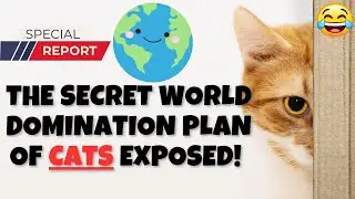 Exposed! The Secret World Domination Plan of Cats