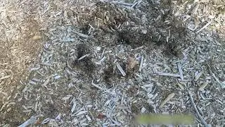 Creature Mystery on the Farm and Quick Contest