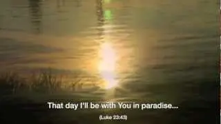Michael Schroeder - Paradise