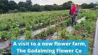 A visit to newly operational Godalming Flower Co - what a success!