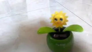 Spice Stellar Horizon Video Sample