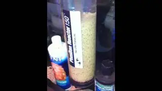 bio pellets in a phosban 150 / mj1200