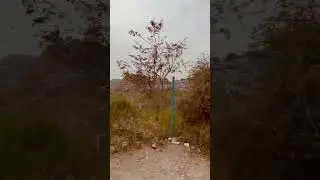 🤲🤲🫶 YouTuber viral #ContentViral##VideoViral #VideoForYou #ContentViral#