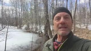 Vernal Pool Video #1: Welcome to a Vernal Pool