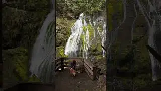 Koda is coming with me to all the waterfalls! #waterfallseason #waterfallhike #waterfallchasing