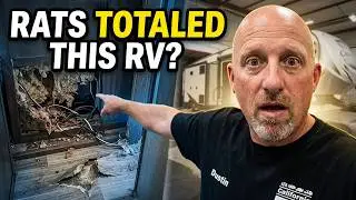 THE MOST Devastating RV Damage Caused by Rodents!