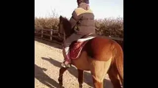 [C+S] Newest Intro, made by EquestrianAbbey