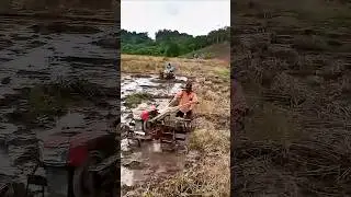 Bajak lahan Sawah Eks Tambang Pakai Traktor Sawah Quick G 3000
