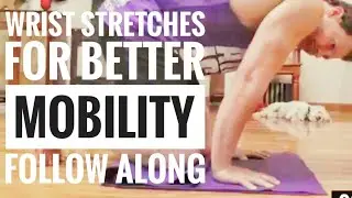 Wrist Stretches for Mobility part 2 Follow Along