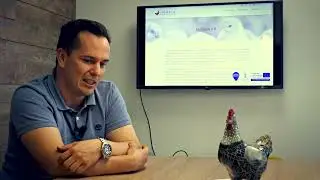 Erfolgreiche Broiler-Elterntierhaltung in Ungarn