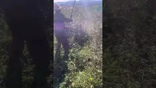 So Satisfying! Farmer Weeds With a Hoe &ndash; Tames Weeds in Seconds!
