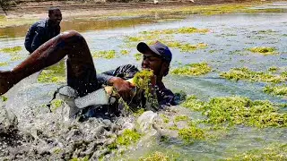 OMG BIG FISH !! REALLY AMAZING HAND FISHING VIDEO !! BIG FISH CATCHING VIDEOS SEA BY FISH POND !!