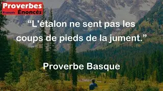 L'&eacute;talon ne sent pas les coups de pieds de la jument. - Proverbe Basque