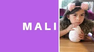 How NOT To Open A Hatchimal