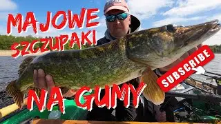 MAJOWE szczupaki na GUMY / BERKLEY pulse shad / #szczupaki #szczupak