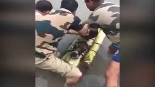 नदी के सहारे गौ-तस्करी/ nadhi ke sahre gau taskari/ Cow Smuggling Throw River