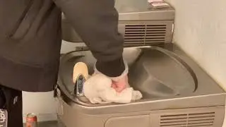 Bridgewater Cleanliness protocols 720p