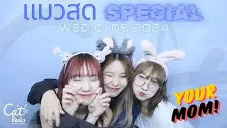 #แมวสด SPECIAL 