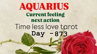 Aquarius Partners current feeling🩷next action in 24 hour #hinditarot #dailylovetarot  day - 873