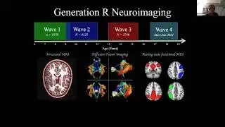 Automatic quality assessment of structural MRI in pediatric neuroimaging [Quality Conversations]