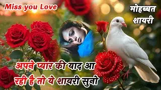 अपने प्यार की याद आ रही ये याद शायरी सुनो❣️| Love Shayari | Heart Touching Shayari | Hindi Shayari