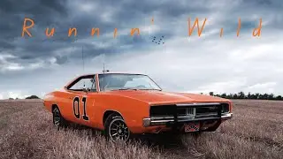 Dukes of Hazzard - Runnin' Wild