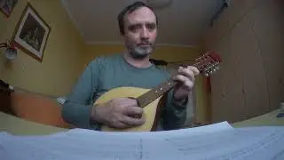 Carols from the world for Crosspicking Mandolin #crosspicking #mandolin #carol #christmas