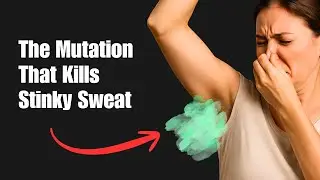 The People Immune To Stinky Sweat - Science Explained