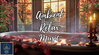 Ambient Relax Music and Cozy Melodies for Relax Time Chillout And Stress Relief For Positive Energy