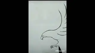 Flying Eagel Drawing 🦅 ||Bat Chora Karta Face Pe Song #shorts