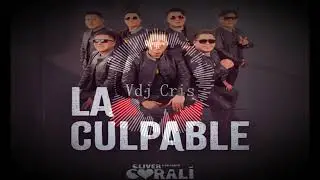 100 .Grupo Corali &  =Dj Cris=   & Vdj Cris La Culpable  Vocal