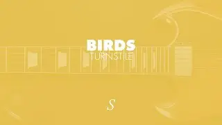 Birds  - Turnstile | Guitar Tab
