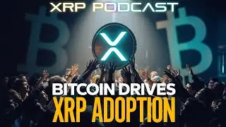 Bitcoin Is Driving XRP Adoption 📊 With Brad Kimes