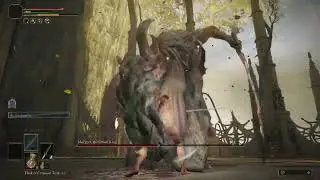 Morgott RL1 No Parry/No Damage